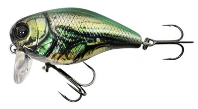 RT May Bug Green